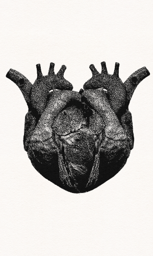 03_300x500