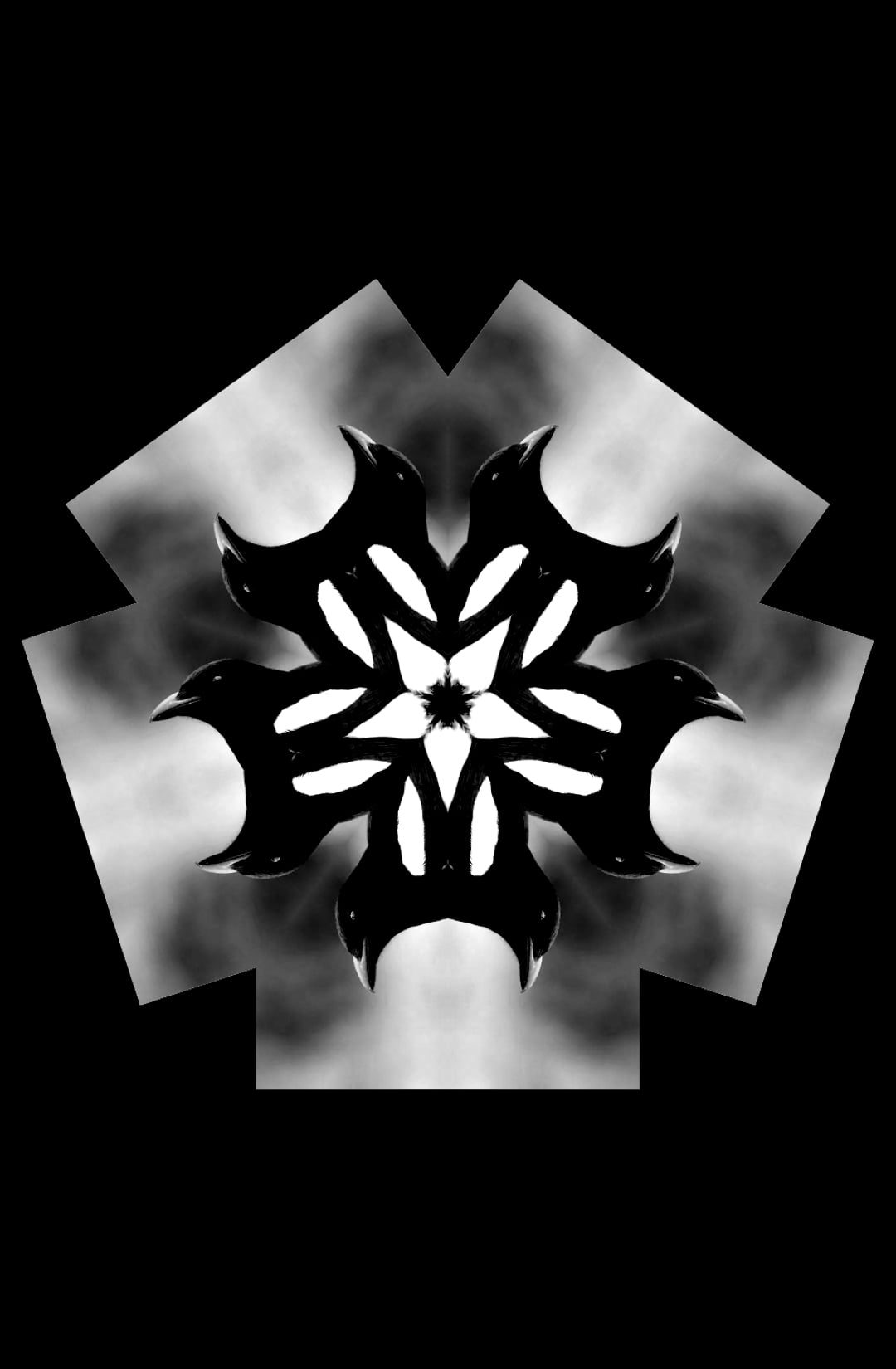 1080X1650_IMMAGINE COPERTINA 03-opti