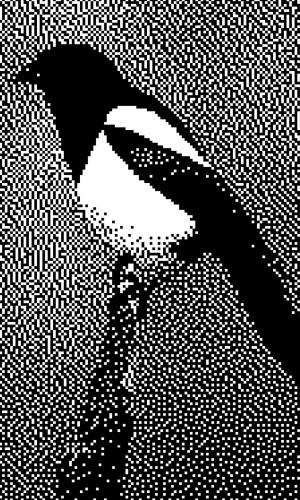 1080X1650_IMMAGINE COPERTINA 03