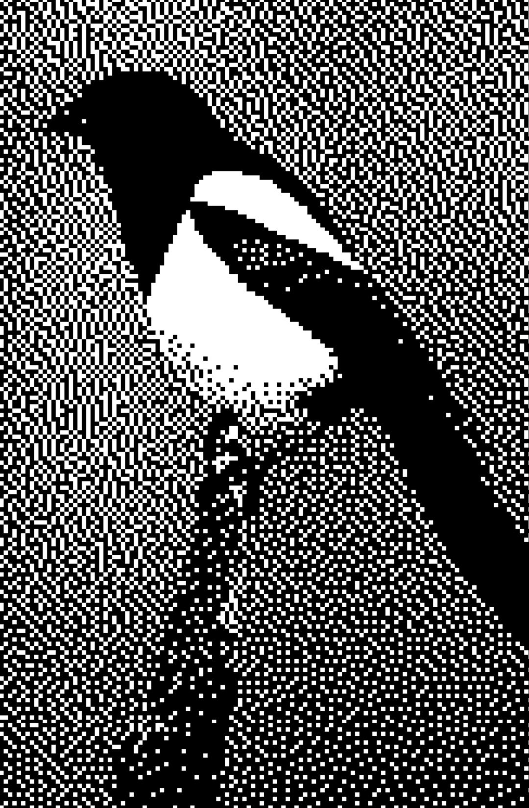 1080X1650_IMMAGINE COPERTINA 03