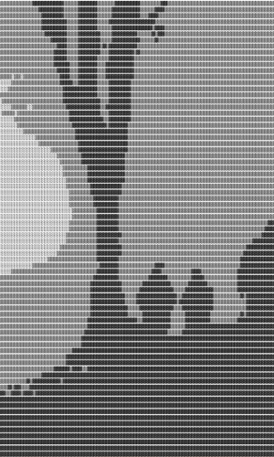 300X500_1