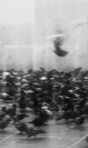 300X500_2