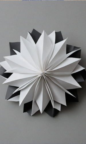 300X500_2-opti