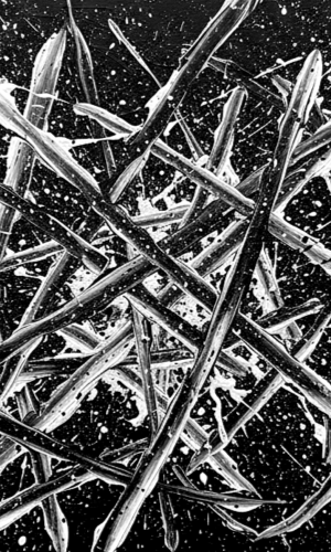 300X500_2