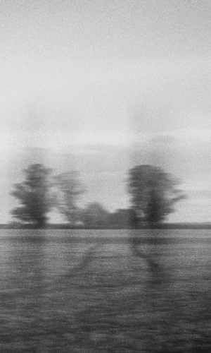 300X500_3