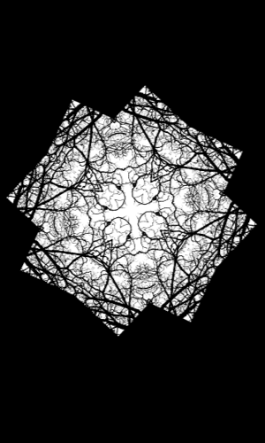 300X500_3-opti