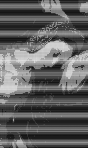300X500_3