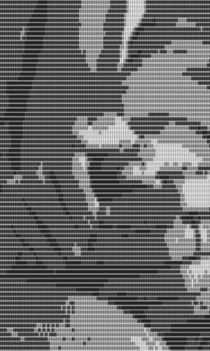 300X500_4