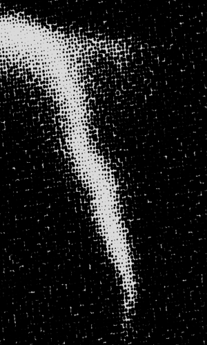 300X500_5