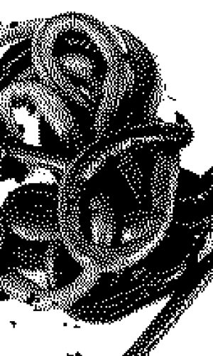 300X500_5