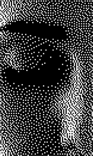 300X500_6