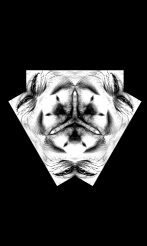 300X500_7-opti