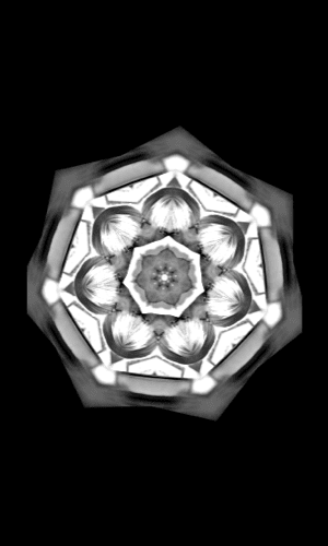300X500_8-opti
