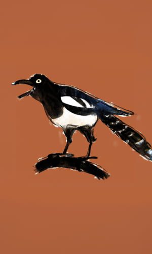 300X500_COPERTINE RACCONTI 17-opti