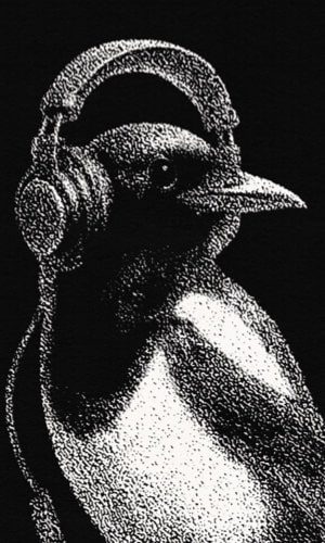 300X500_COPERTINE RACCONTI A VCE-min