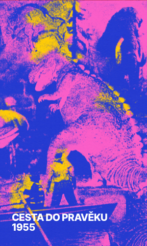 300X500_NAUFRAGHI