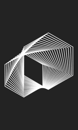 300x500_3