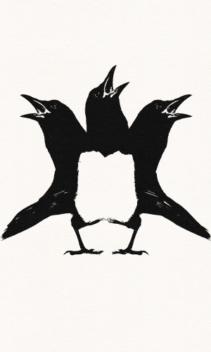 Cover_300x500