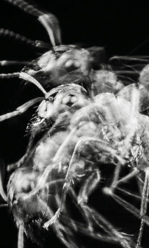 Frame 9